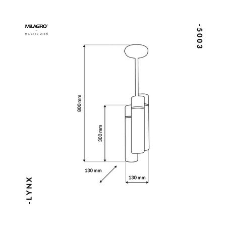 Lampa wisząca LYNX, czarny/złoty, 6x40W E14, MZ5003