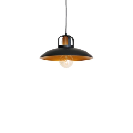 Industrialna Lampa Wisząca FELIX 1xE27 MLP3682
