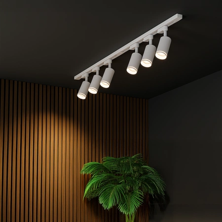 Zestaw Oprawa Pipe Ring Track Biały 6xGU10 2m