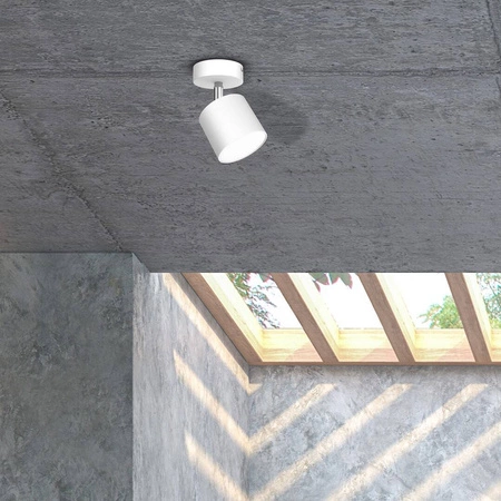 Lampa sufitowa reflektorek DIXIE WHITE GX53 | biały