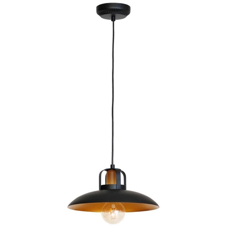 Industrialna Lampa Wisząca FELIX 1xE27 MLP3682