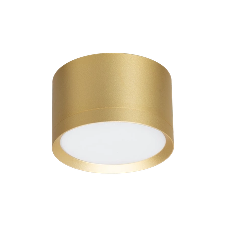 Oprawa Cyklop Spot Złoty 1xGx53