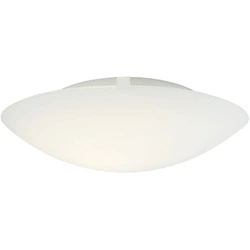 Lampa sufitowa STANDARD E27 60W Szkło | Biały
