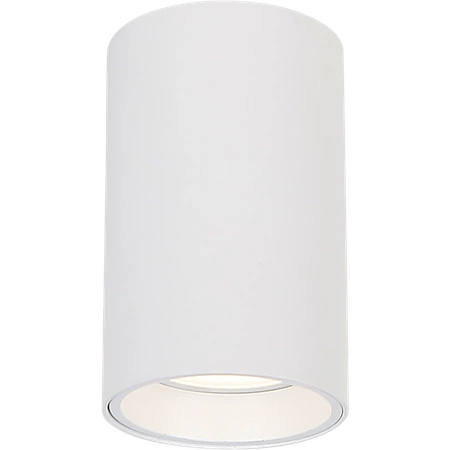 GENESIS SPOT WHITE 1xGU10 10cm