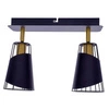 Lampa sufitowa RICK 2xE14