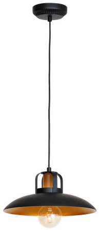 Industrialna Lampa Wisząca FELIX 1xE27 MLP3682