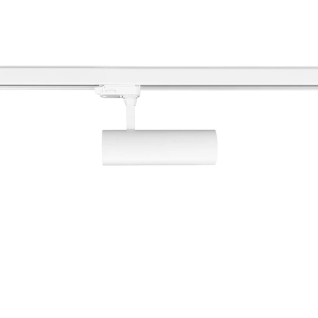 Reflektor Sumba 20W 2700/4000K Biały 3 Obwodowy