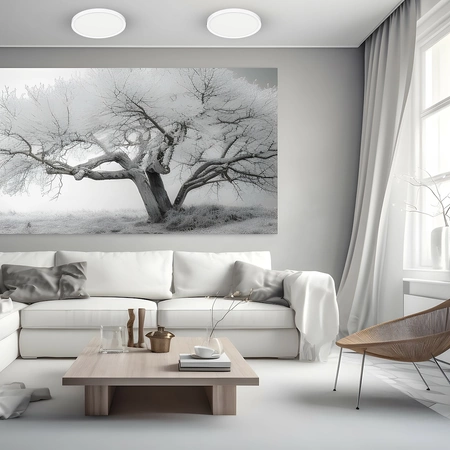 Plafon MAQ 24W 3CCT Biały