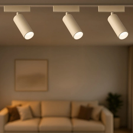 Slim Magnetic Track Biały spot 9W LED Tuya CCT