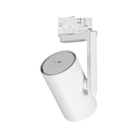 Reflektor Timor 30W 2700/4000K Biały 3 Obwodowy