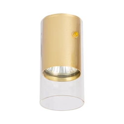 Oprawa Ricky Downlight Złoty 1xGU10