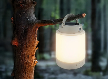 LUMINA CAMPO 2W 121x191mm 2 lata gw. SPECTRUM