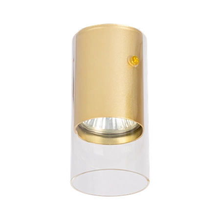 Oprawa Ricky Downlight Złoty 1xGU10