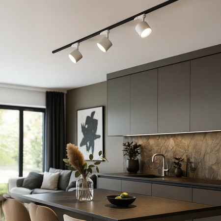 Oprawa Cyklop Track Biały 1xGx53 3-Obwodowy