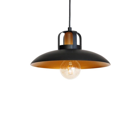 Industrialna Lampa Wisząca FELIX 1xE27 MLP3682